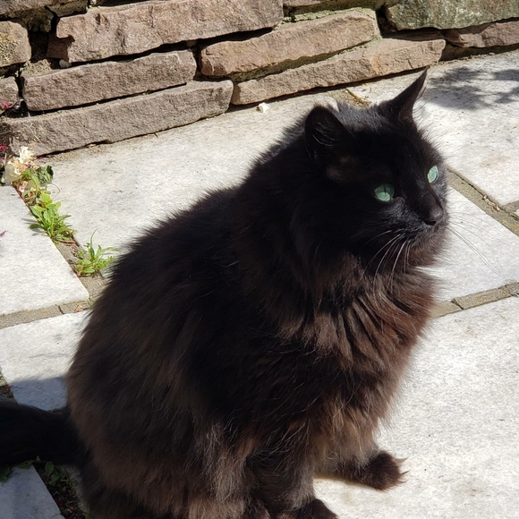 Meet your Posher, Dorothy - Picture 4 of 9